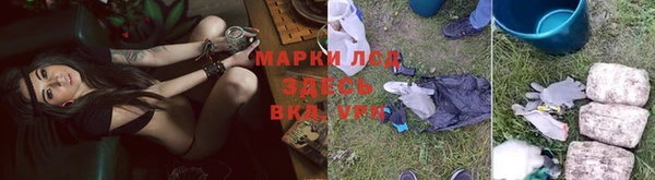 мяу мяу мука Беломорск