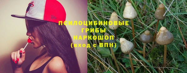 спайс Белокуриха