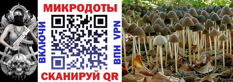 Псилоцибиновые грибы Cubensis  OMG ССЫЛКА  Тосно 